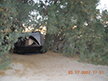 Our Tent at Furnace Creek