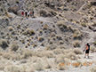 Rhyolite Mine