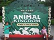 Animal Kingdom