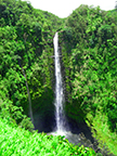 Akaka Falls