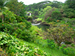 Rainbow Falls