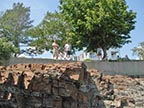 Greg and Steve in Bar Harbor, Maine