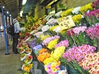 Flower Market